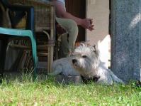 Klik op de foto voor groter formaat